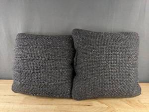 lot 260 image: 2 Threshold Toss Pillows - 18 x 18 in - Blue - Brand New