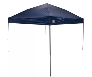 lot 251 image: DSG 12x12 Straight Leg Canopy (Used)