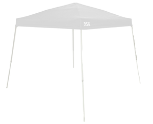 lot 252 image: DSG 10 x 10 Slant Leg Canopy