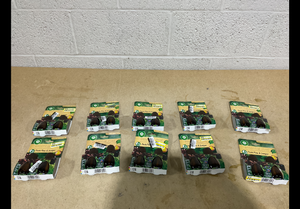 lot 333 image: LOT OF 10 Airwick Essential Mist Fresh Pine & Juniper Limited Edition With Real Essential Oils