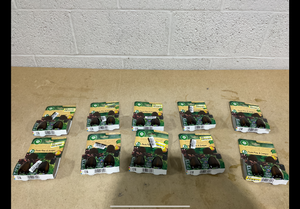 lot 334 image: LOT OF 10 Airwick Essential Mist Fresh Pine & Juniper Limited Edition With Real Essential Oils