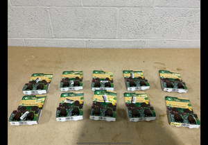 lot 335 image: LOT OF 10 Airwick Essential Mist Fresh Pine & Juniper Limited Edition With Real Essential Oils