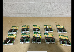 lot 336 image: LOT OF 10 Airwick Essential Mist Fresh Pine & Juniper Limited Edition With Real Essential Oils