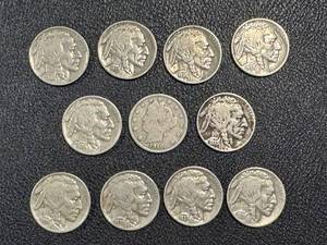 lot 15LB image: Buffalo Nickels & Liberty Nickel (11 Coins) - 10 Buffalo Nickels & 1 Liberty Nickel