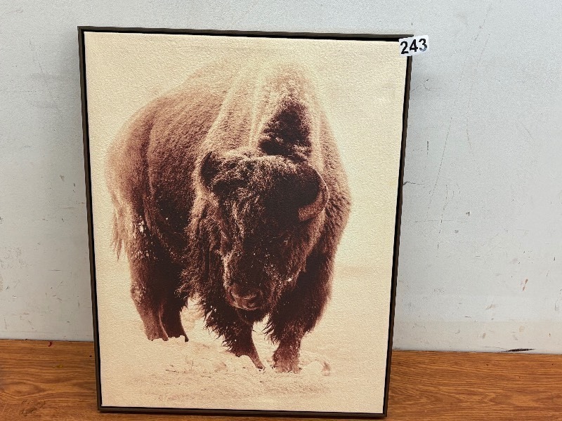 lot 243 image: Bison in the tundra print