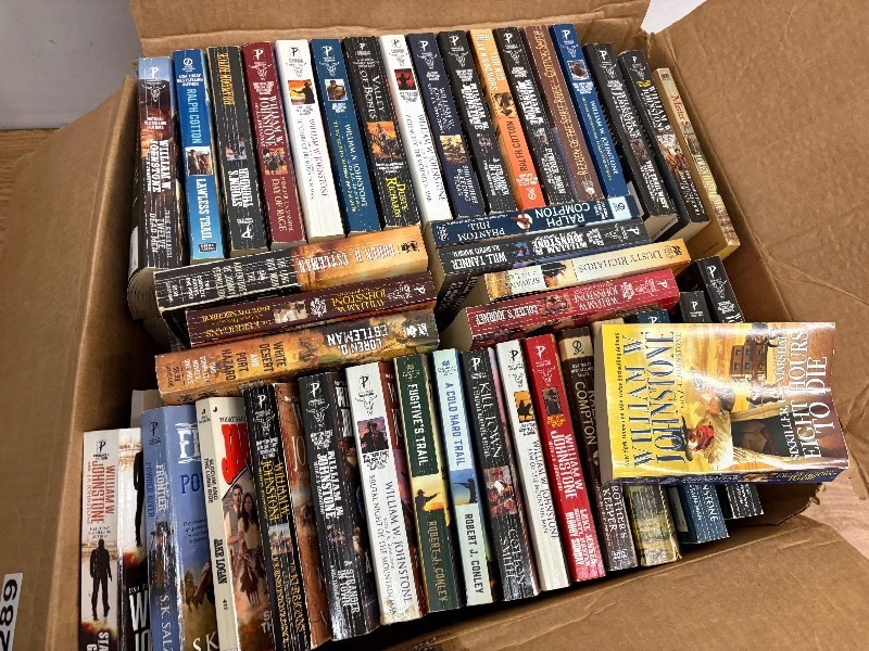 lot 289 image: Large lot of books and novels