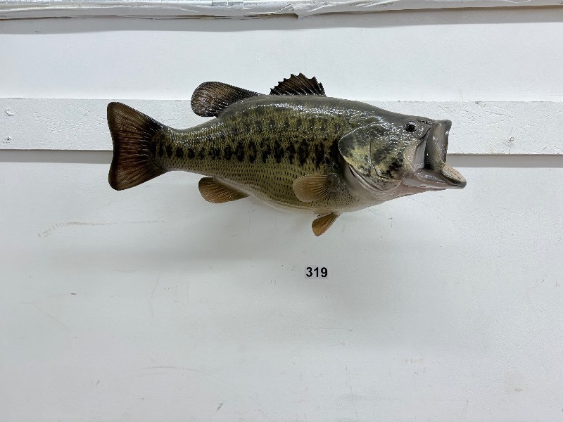 lot 319 image: Fish mount