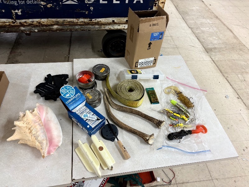 lot 407 image: Assorted lot including antlers and seashell