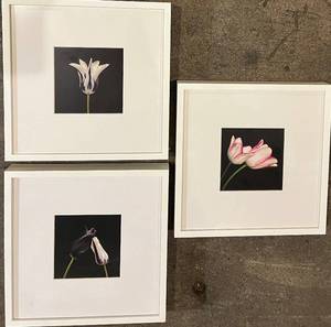 lot 63 image: Challa - Keukenhof Tulip Art Prints - Framed Set of 3