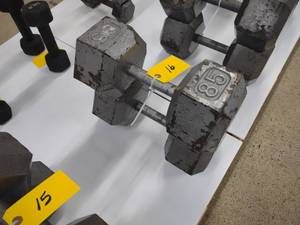 lot 16 image: (2) 85 lb. Dumbbells...