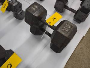 lot 19 image: (2) 65 lb. Dumbbells...