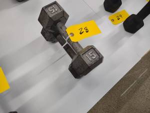 lot 28 image: (2) 15 lb. Dumbbells...