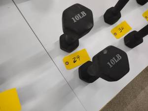lot 29 image: (2) 10 lb. Dumbbells...