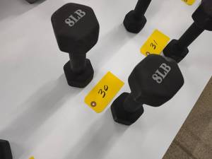 lot 30 image: (2) 8 lb. Dumbbells...