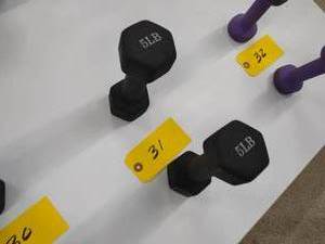 lot 31 image: (2) 5 lb. Dumbbells...