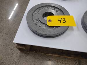 lot 43 image: (2) 5 lb. Weights...