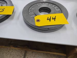 lot 44 image: (2) 5 lb. Weights...