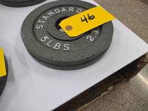 lot 46 image: (2) 5 lb. Weights...