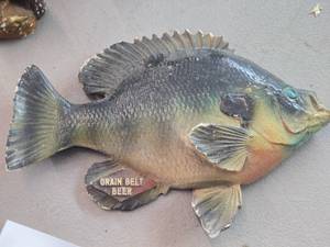 Vintage Sunfish theme Carnival Chalkware Sign  Grain Belt Beer logo