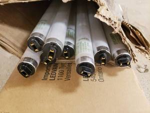 lot 28 image: Light Bulbs