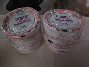 lot 544 image: 10 Packs of 40 Dixie plates...