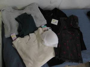 lot 666 image: lot of X Large womens top, cardiga...