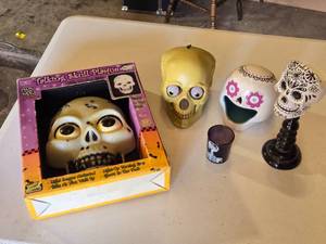 lot 111 image: Talking Skull Plaque and Halloween Skull Decorations