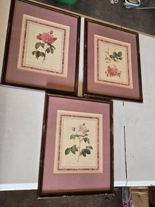 lot 190 image: Framed Floral Prints Set including Three Rose Illustrations
