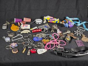 lot 346 image: Lot of Keychains and Accessories Including Valleyfair, American Heart Association, and Ecuador Shoe Keychains