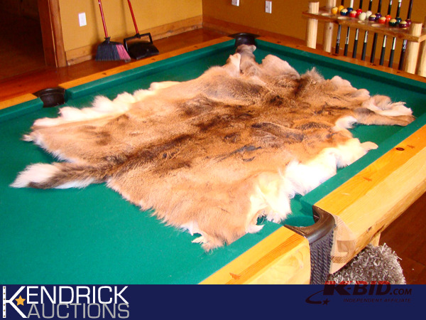 lot 62 image: White Tail Deer Pelt
