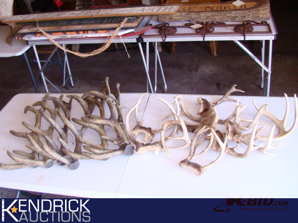 lot 63 image: Lot of Antlers