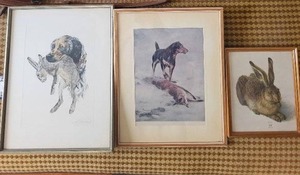 Dog & Hare Art Prints - 3 Framed Vintage Illustrations