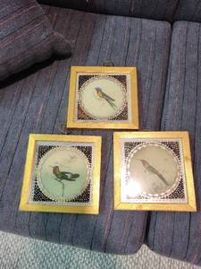 Bird Wall Art - Gold Framed Bird Prints (Lot of 3)