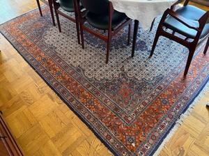 Vintage Persian Style Oriental Area Rug 8x10 Fringed Floral