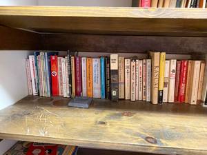 Mixed Vintage Paperback Book Lot Fiction Classics Sci-Fi Tolkien