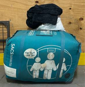 lot 7 image: LoveSac SuperSac with Cover