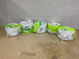 lot 241 image: LOT OF 5 Chinet Compotable Paper Plates