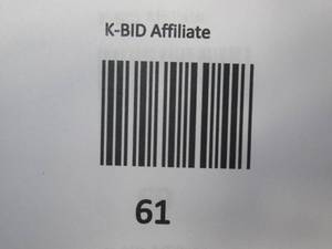 lot 61 image: 9 Round Tropical Outdoor Patio Umbrella with Black Pole - Threshold