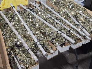 lot 628 image: Lot of (9) Wild Things Metallic Mirror Beaded Curtain (shimmy light gold)