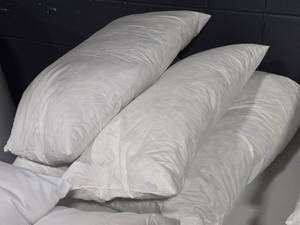 lot 677 image: Lot of (4) Throw Pillow Inserts