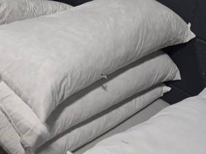 lot 678 image: Lot of (3) Cotton Throw Pillow Insert 16 x 16