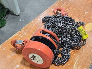 lot 524 image: CM Series 622 1-Ton Hoist with Chain