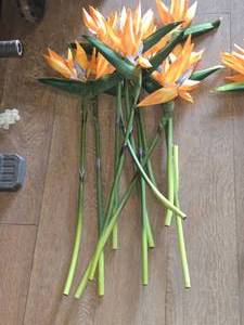 lot 595 image: Lot of (11) 27 Faux Bird of Paradise Flower with Stem