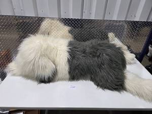 lot 200 image: Huge Realistic Sheepdog Plush Oversized Shaggy Dog Stuffed Animal 3 Ft