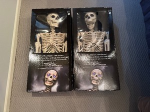Two Pose-N-Stay Skeletons with LED Eyes 60 Tall