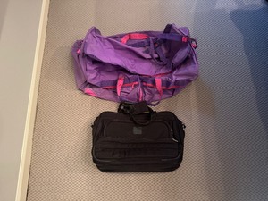 Dakota Multi Pocket Travel Bag and PurplePink Duffle Bag