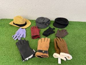 lot 41 image: Gloves & Hats