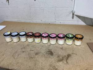 lot 244 image: LOT OF 10 Mrs. Meyers Soy Candles (Snowdrop, Iowa Pine, Peppermint, Gingerbread, Apple Cider Scents)