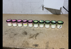 lot 248 image: LOT OF 10 Mrs. Meyers Soy Candles (Peppermint, Iowa Pine Scents)