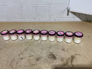 lot 250 image: LOT OF 10 Mrs. Meyers Soy Candles (Peppermint)